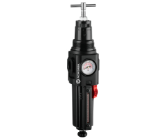 Aşırı sıcaklık uygulamaları için Excelon Plus filtre/regülatör, G3/8, 40μm, 0,3-10 bar, manuel boşaltma, göstergeli