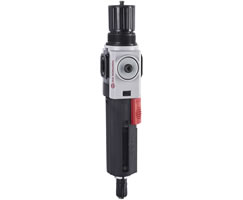 Excelon Plus filtre/regülatör, G1/4, 5 µm, 0,3-10 bar, otomatik tahliye, göstergesiz