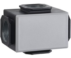 Excelon Plus Manifold Bloğu 3/4 PTF