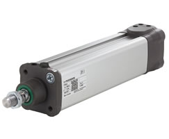 Smoothline silindir (valfsiz), 32 mm çap, 160 mm strok, ATEX sertifikalı