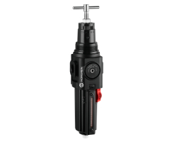 Aşırı sıcaklık uygulamaları için Excelon Plus filtre/regülatör, G3/4, 5 µm, 0,3-10 bar, otomatik tahliye, göstergesiz