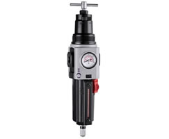Excelon Plus filtre/regülatör, 3/4 NPT, 40μm, 0,7-17 bar, otomatik tahliye, göstergeli