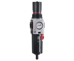 Excelon Plus filtre/regülatör, G1/2, 5 µm, 0,3-4 bar, otomatik tahliye, göstergeli