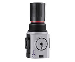 Excelon Plus genel amaçlı basınç regülatörü, 1/2 PTF, 0,3-10 bar, göstergesiz