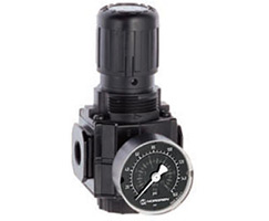 Excelon genel amaçlı basınç regülatörü, 1/4 PTF, 0,3-4 bar, göstergeli