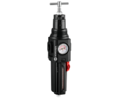 Aşırı sıcaklık uygulamaları için Excelon Plus filtre/regülatör, G3/8, 40μm, 0,7-17 bar, otomatik tahliye, göstergeli