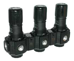 Excelon genel amaçlı manifold basınç regülatörü, G3/4, 0,3-10 bar, göstergesiz