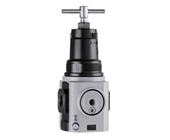 Excelon Plus genel amaçlı basınç regülatörü, 1/2 PTF, 0,3-4 bar, göstergesiz